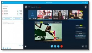 skype meeting